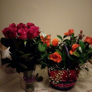 Meet your Posher, Lety